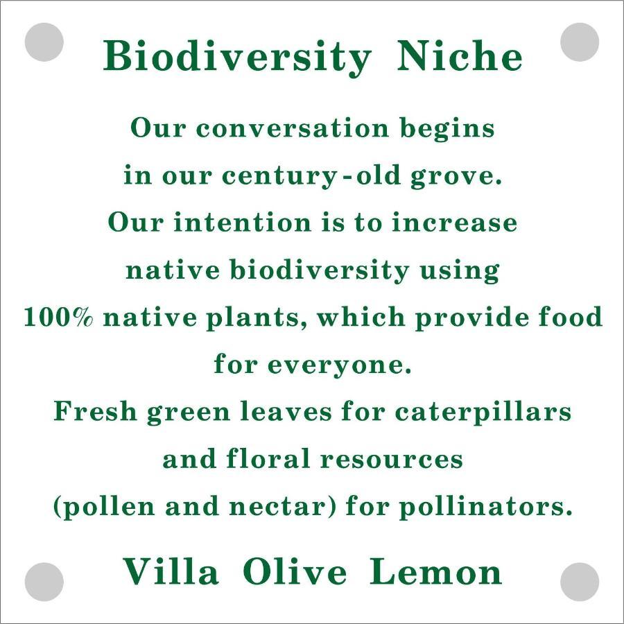 Olive Lemon Biophilic House & Lush Forest Garden Vámos Exterior foto