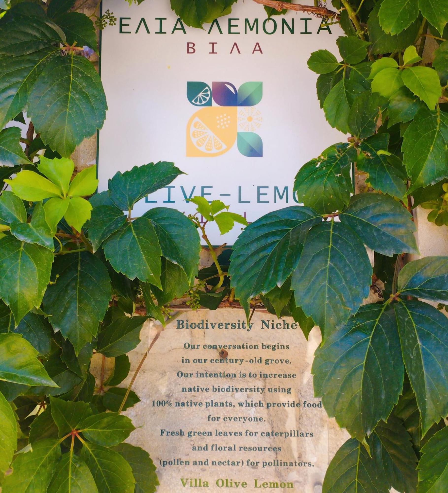 Olive Lemon Biophilic House & Lush Forest Garden Vámos Cameră foto